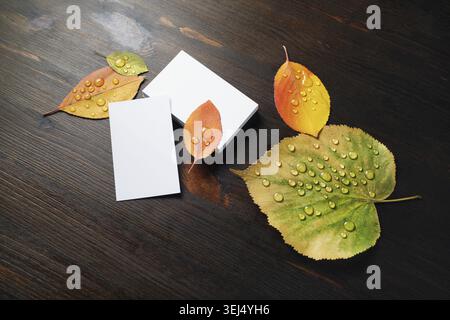 Photo of blank business cards and autumn leaves on wooden background. Template for branding ID Stock Photo