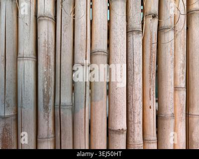 Bamboo Wall Texture Natural Pattern Background Stock Photo