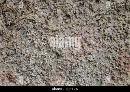 Coarse Rough Exposed Aggregate Concrete Texture Stock Photo