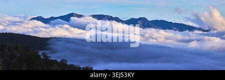 Mt Charleston Panorama Above Clouds with Forest and Blue Sky in Nevada Stock Photo