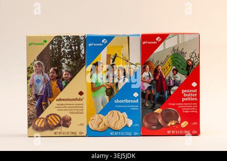 A variety of girl scouts cookies on a white background. Stock Photo