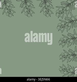 Elegant square olive branch frame with hand drawn botanical leaves in minimalist Mediterranean outline style. Vector illustration for invitations, branding, packaging design, posters, stationery and promo materials. Stock Vector