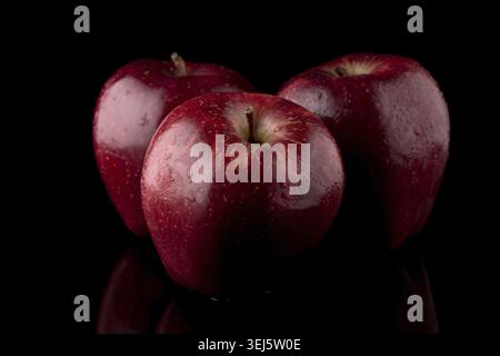 Fresh red apples with droplets of water against black background Stock Photo