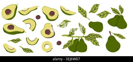 Cartoon avocado set. Abstract green fruit of half avocado, whole and slices. Hand drawn vector illustration isolated on white. Vegan fruit on branches Stock Vector
