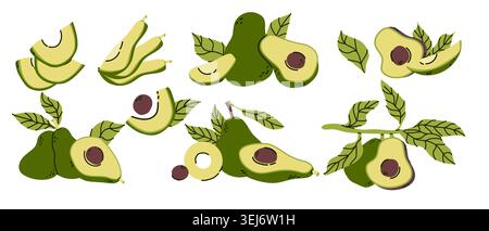 Set of compositions of Avocado in retro cartoon flat style. Half, whole and sliced fruit with bones, plant parts. Avocado fruit for food backgrounds. Stock Vector