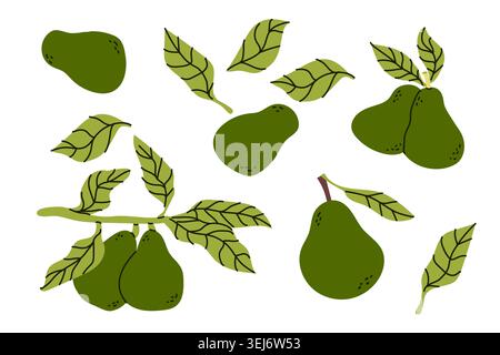 Avocado tree plant parts set. Whole fruits, avocado branches with leaves. Cartoon flat illustration in retro style. Hand drawn vector illustration. Stock Vector