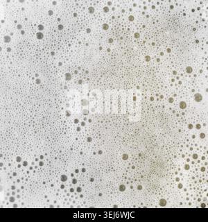 Foam with bubbles. abstract white background. Detergent in water Stock Photo