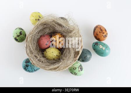 Painted spotted quail eggs in the nest. Top view Stock Photo