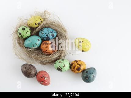 Painted spotted quail eggs in the nest. Top view Stock Photo