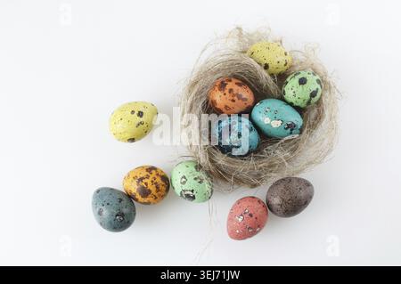 Painted quail eggs in the nest. Top view Stock Photo