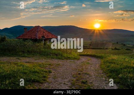 Sunrise Over Countryside Cottage and Vineyard With Winding Path Through Rolling Hills; Lens Flare Articaft Stock Photo