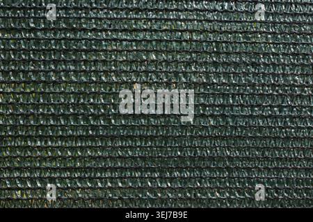 Uniform dark green tones show subtle natural variations. Surface has a matte finish with slight sheen from light reflection. Ideal for backgrounds Stock Photo