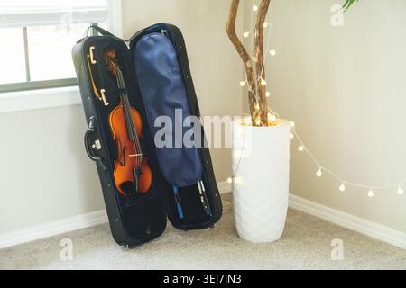 A violin in its case stands next to a flower. Stock Photo