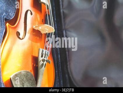 A violin in its case close-up Stock Photo