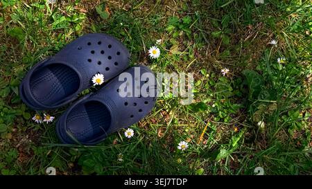 Black rubber clogs placed on green grass with small white daisies scattered around, showcasing a natural outdoor  Stock Photo