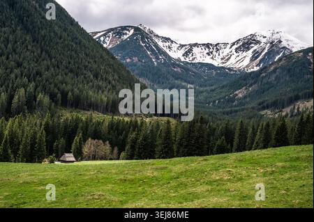Scenic Chocholowska Valley landscape with snow-capped mountain peaks surrounded by dense coniferous forest. Alpine valley with green meadow in foregro Stock Photo
