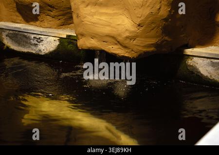 close-up of two narrow water spouts pouring from a textured ochre plaster ledge into a dark reflective pool, moss-lined stone rim and warm yellow ligh Stock Photo