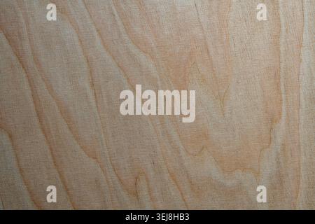 Light birch plywood texture background with natural wood grain. Natural wood grain texture of birch plywood. Clean wooden surface background for carpe Stock Photo