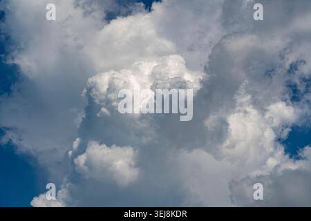 Dramatic white cumulus clouds in blue sky. Close up view of fluffy white and gray storm clouds rolling across a bright blue sky. Dramatic natural weat Stock Photo