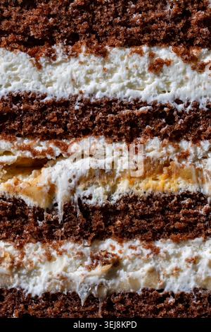 Layered chocolate sponge cake texture background. Macro texture background of a chocolate layer cake section showing fluffy sponge biscuit layers swee Stock Photo