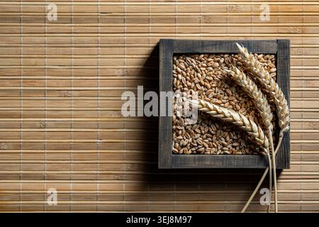 Wheat grains and ears in wooden box on bamboo mat background. Top view of wheat ears and grains in a dark wooden frame on a bamboo textured background Stock Photo