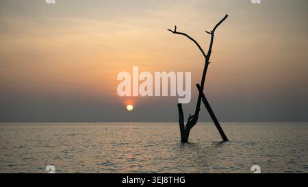 A minimalist photograph capturing the silhouette of a dead, leafless tree standing in the middle of the ocean. The sun is a glowing orange orb positio Stock Photo