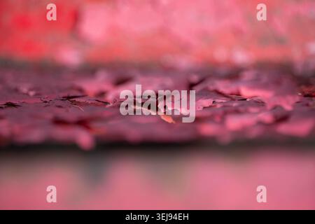 Peeling paint rust macro close up background image, bokeh authentic abstract Stock Photo