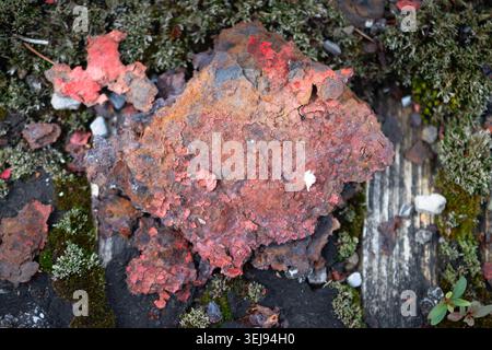 Peeling paint rust macro close up background image, bokeh authentic abstract Stock Photo