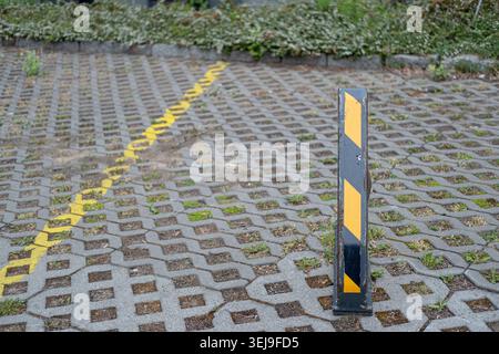 Green moss is growing on a weathered stone surface in an outdoor environment. Stock Photo