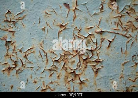 Flaking light blue paint peels away from a rusting metal surface in a close-up texture shot. Stock Photo