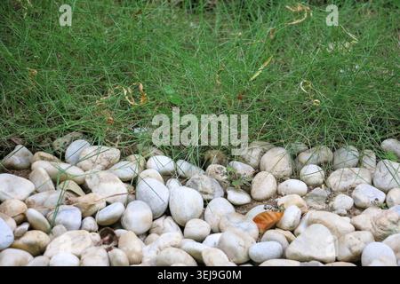 Natural White Pebble Stones and Green Grass Texture Background in Outdoor Garden Landscape Stock Photo