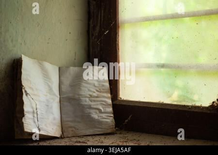 An old, weathered notebook with blank, stained pages lies open on a dusty surface next to a window pane covered with a screen mesh. Cobwebs and fine d Stock Photo