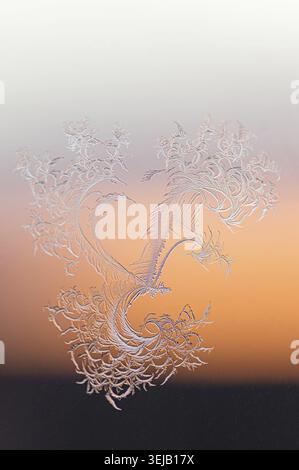 Mystical dragon silhouette crafted from intricate frost ice crystals on window, transitioning from white to warm orange gradient Stock Photo