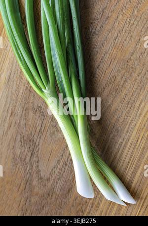 Young green onions on a wooden background. Onions on old wood. Food and health concept Stock Photo