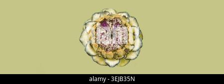 Detailed close-up of a dried artichoke with intricate petals on a neutral background Stock Photo