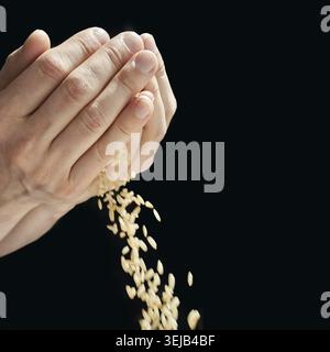 Caucasian adult male hands holding and releasing falling rice against black background Stock Photo