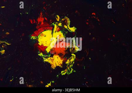 Minimal yet dramatic abstract artwork featuring bright yellow and red paint textures floating on a deep black background. Perfect for premium branding Stock Photo