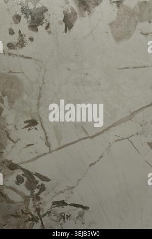 Detailed view of a marble surface, highlighting the unique natural patterns and textures in light and dark shades. The variation in color adds depth t Stock Photo