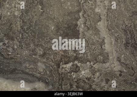 This natural rock surface showcases detailed patterns and textures in various gray and brown tones. The surface reflects light beautifully, creating a Stock Photo