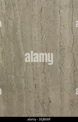 A textured surface displays natural patterns and lines in light brown and beige shades, creating an interesting visual. The details suggest a unique m Stock Photo