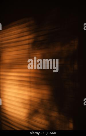 Abstract shadows cast on textured wall illuminated by warm cinematic light. Minimal atmospheric composition with soft gradients, dramatic contrast and Stock Photo
