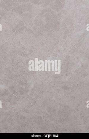A close-up view of a pale stone surface showcases its unique textures and patterns. The soft colors are highlighted by the warm afternoon light, creat Stock Photo