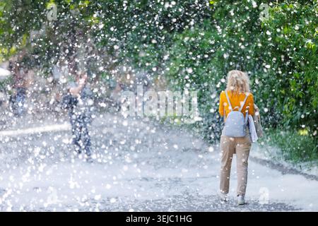 Back view of an anonymous woman walking down a pathway surrounded by a thick, flying cloud of white poplar fluff resembling a snowstorm. Severe spring Stock Photo