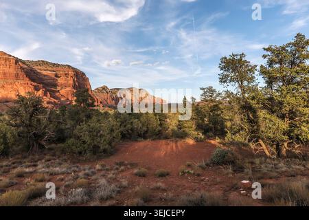Empty dirt hiking trail winds through juniper trees and red desert scrub beneath sandstone canyon cliffs under blue sky, Sedona, Arizona, USA Stock Photo