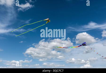 Colorful Kites with Long Streamers Flying Against Blue Sky with White Clouds at Kite Festival in Texas, USA Stock Photo