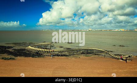 Saint-Michel-Chef-Chef, France - 19.08.2023: Massive dark rib-like structure resting on the shoreline near a coastal city under cloudy skies Stock Photo