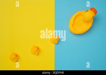 Yellow rubber ducks on a blue background, children's toy, top view Stock Photo