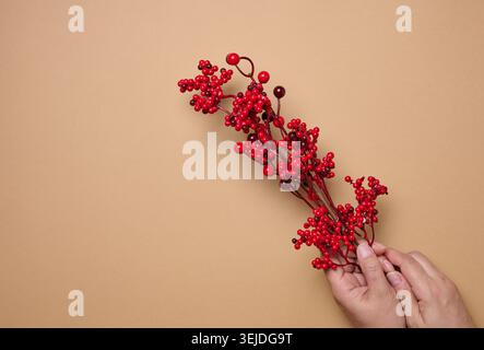Decorative Christmas branch with red berries in female hands Stock Photo