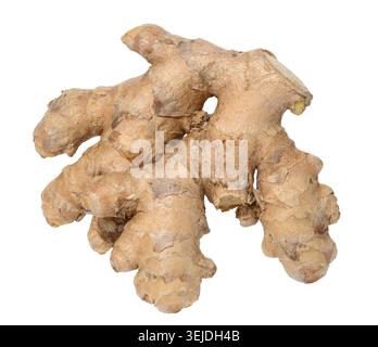 Ginger root on isolated background Stock Photo