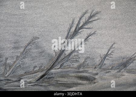 Abstract pattern formed in Skagsanden sand, lofoten, Norway Stock Photo